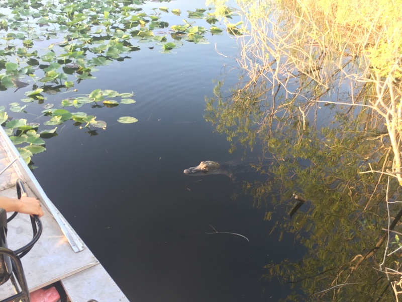 airboat ride near me